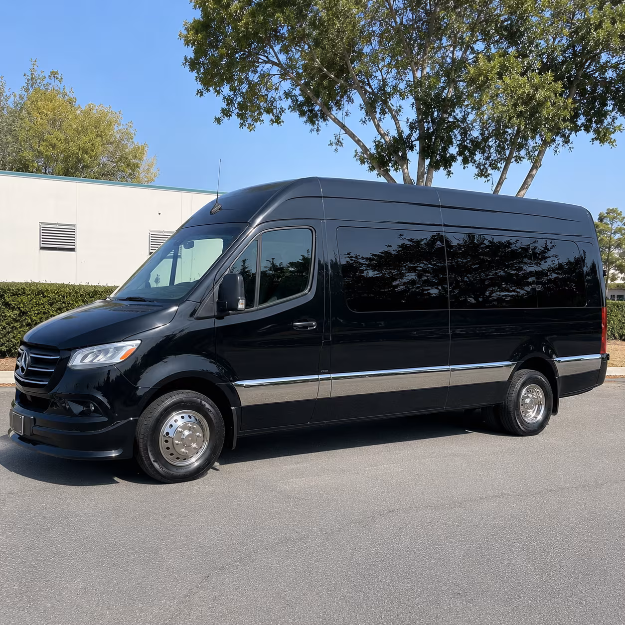 College Station Prom Transportation