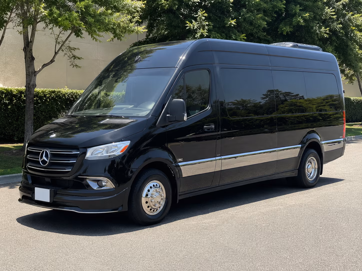 college station wedding sprinter van rental